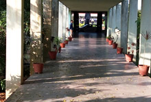 Campus